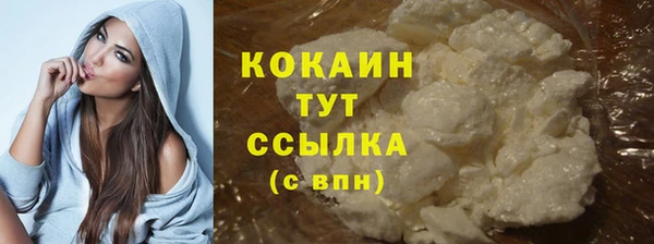 СК Новодвинск