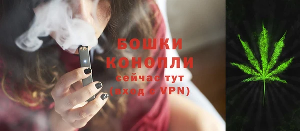 спайс Каменка