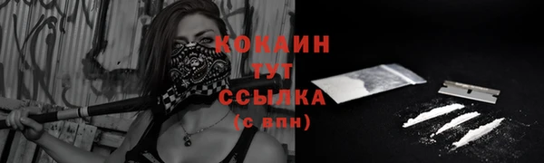 СК Новодвинск