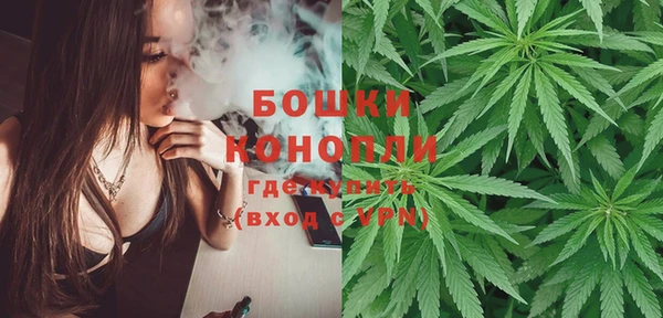 СК Новодвинск
