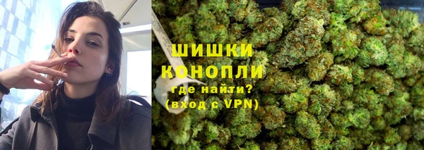 СК Новодвинск