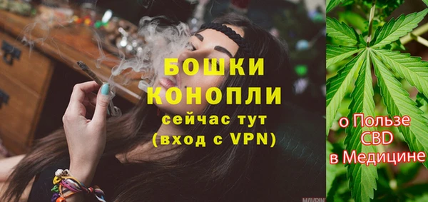 СК Новодвинск