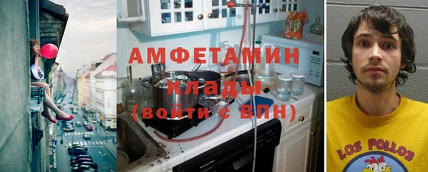 СК Новодвинск