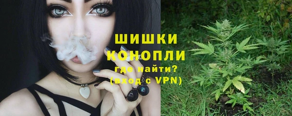 хмурый Инта