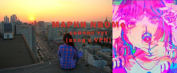 СК Новодвинск