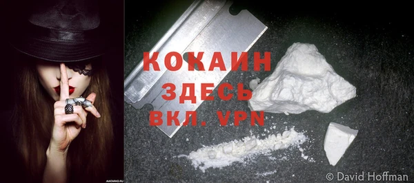 mdpv Новозыбков