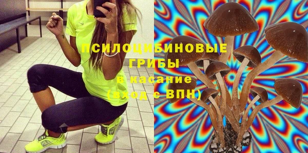 ГАЛЛЮЦИНОГЕННЫЕ ГРИБЫ Новокубанск