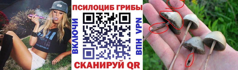 Псилоцибиновые грибы ЛСД  Ряжск 